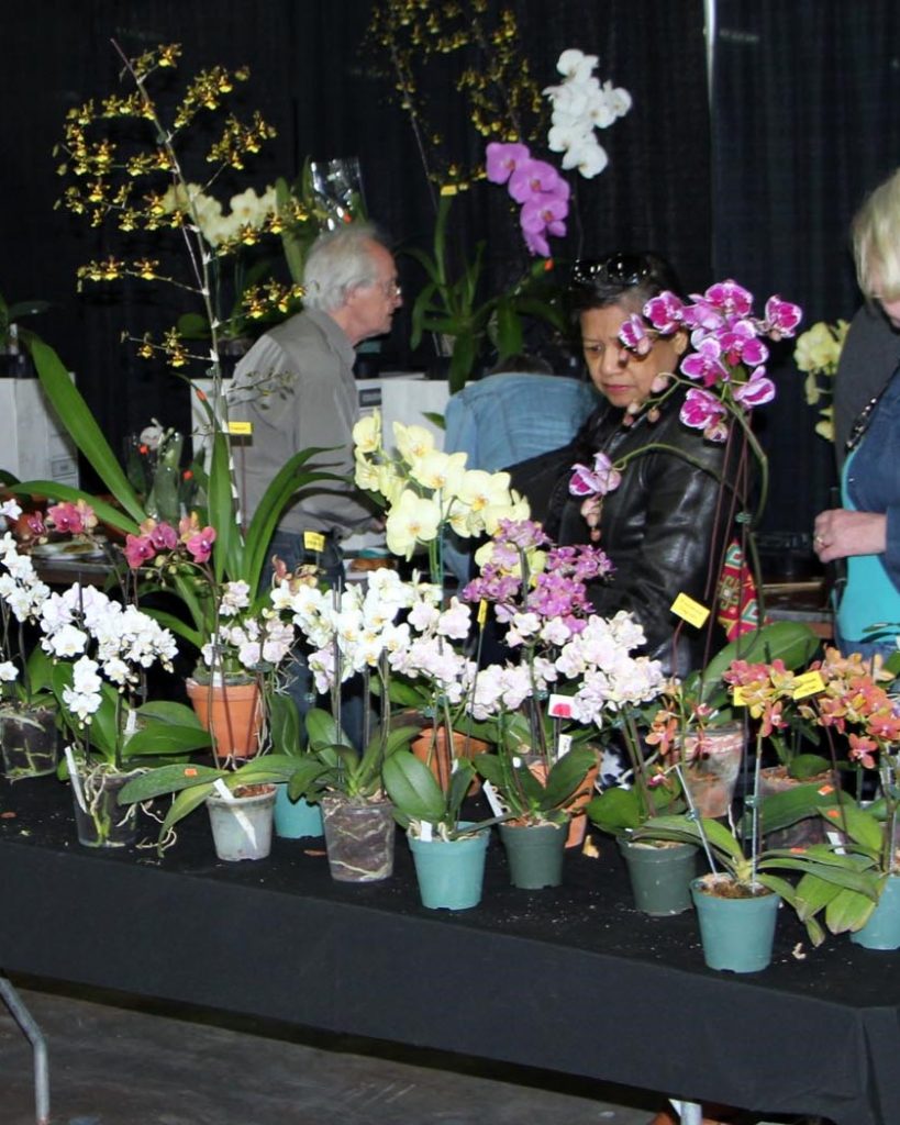 About Us Ottawa Orchid Society