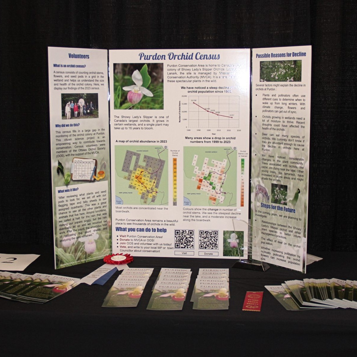 For Orchidophilia - Visit the Show page