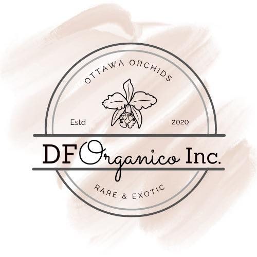 DF Organico Logo