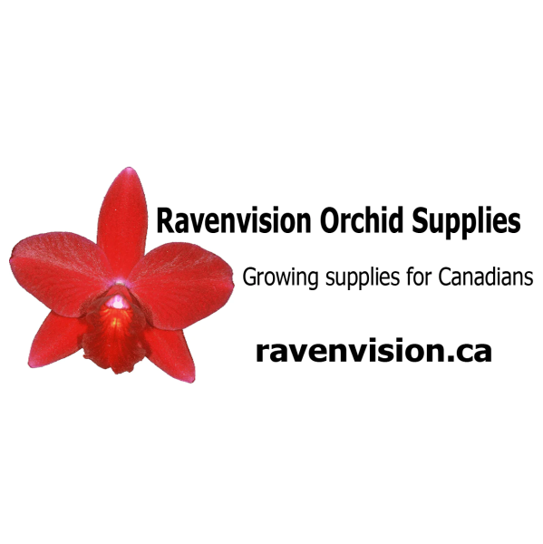 Ravenvision Logo